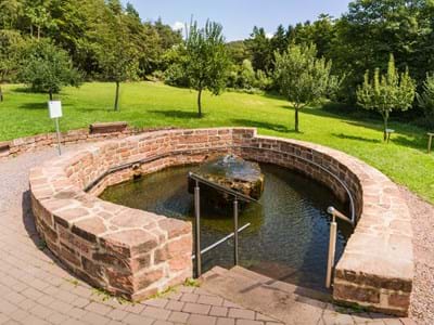 Wassertretanlage (1)