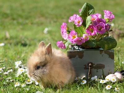 Ostern 2020