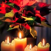 Advent 2024